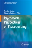 Gallagher, Gallagher, Elizabeth Gallagher, Brando Hamber, Brandon Hamber - Psychosocial Perspectives on Peacebuilding