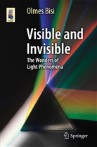 Olmes Bisi - Visible and Invisible