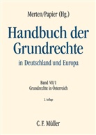 Gerhar Baumgartner, Gerhard Baumgartner, Andrea Hauer, Andreas Hauer, Mich Holoubek, Michael Holoubek... - Handbuch der Grundrechte in Deutschland und Europa - Bd.7/1: Grundrechte in Österreich