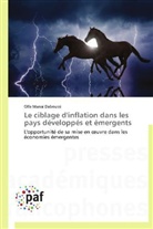 Daboussi-o, Olfa Manai Daboussi - Le ciblage d inflation dans les