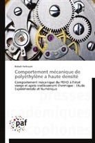 Rabah Ferhoum, Ferhoum-r - Comportement mecanique de