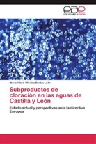Maria Vilani Oliveira Dantas Leite - Subproductos de cloración en las aguas de Castilla y León
