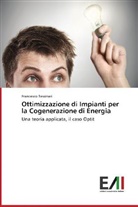Francesco Tassinari - Ottimizzazione di Impianti per la Cogenerazione di Energia