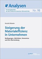 Hendrik Biebeler - Steigerung der Materialeffizienz in Unternehmen