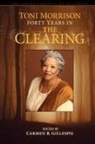 Carmen Gillespie, Carmen R. Gillespie - Toni Morrison Forty Years in Tpb