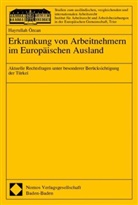 Hayrullah Özcan - Erkrankung von Arbeitnehmern im Europäischen Ausland