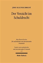 Jens Kleinschmidt - Der Verzicht im Schuldrecht