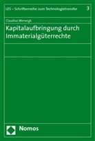 Claudius Werwigk - Kapitalaufbringung durch Immaterialgüterrechte