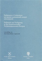 Ann Gianna Manca, Lacchè, Luigi Lacchè, Anna G. Manca, Anna Gianna Manca - Parlament und Verfassung in den konstitutionellen Verfassungssystemen Europas / Parlamento e Costituzione nei sistemi costituzionali europei ottocenteschi.