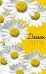 Joshua Senter - Daisies