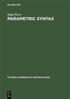 Hagit Borer - Parametric Syntax
