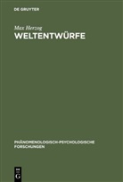 Max Herzog, Maximilian Herzog - Weltentwürfe