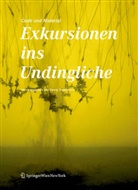 Geor Trogemann, Georg Trogemann - Code und Material - Exkursionen ins Undingliche
