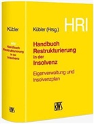 Bruno M. Kübler, Brun M Kübler - Handbuch Restrukturierung in der Insolvenz (HRI)