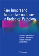 Liang Cheng, Antoni Lopez-Beltran, Antonio Lopez-Beltran, Carmen Menendez, Carmen L Menendez, Carmen L. Menendez... - Rare Tumors and Tumor-like Conditions in Urological Pathology