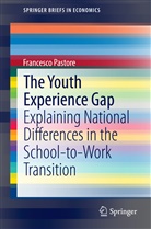 Francesco Pastore - The Youth Experience Gap