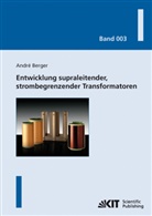 André Berger - Entwicklung supraleitender, strombegrenzender Transformatoren