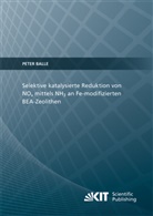 Peter Balle - Selektive katalysierte Reduktion von NOx mittels NH3 an Fe-modifizierten BEA-Zeolithen
