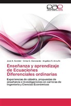 Angélica R. Arnulfo, Cintia G. Cianciardo, José A. Semitiel - Enseñanza y aprendizaje de Ecuaciones Diferenciales ordinarias