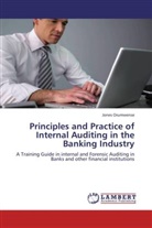 Jones Orumwense - Principles and Practice of Internal Auditing in the Banking Industry