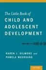 Karen Gilmore, Karen (Md Gilmore, Karen J Gilmore, Karen J. Gilmore, Karen Meersand Gilmore, Karen/ Meersand Gilmore... - Little Book of Child and Adolescent Development