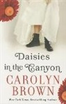Carolyn Brown - Daisies in the Canyon