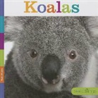 Kate Riggs - Koalas
