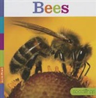 Aaron Frisch - Bees