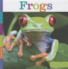 Aaron Frisch - Frogs
