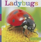 Aaron Frisch - Ladybugs