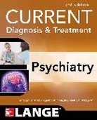 Michael Ebert, Michael H. Ebert, Ebert Michael, James Leckman, James F. Leckman, Peter Loosen... - CURRENT Diagnosis & Treatment Psychiatry, Third Edition