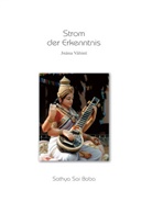 Sai Baba, Sathya Sai Baba - Strom der Erkenntnis