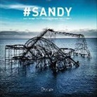 Sean/ Brannan Corcoran, Wyatt Gallery - #sandy