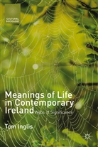 T Inglis, T. Inglis, Tom Inglis - Meanings of Life in Contemporary Ireland