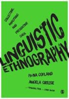 Fiona Copland, Fiona Creese Copland, Copland Fiona, Angela Creese, Angela Greese - Linguistic Ethnography