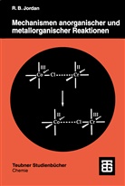 Robert B Jordan, Robert B. Jordan - Mechanismen anorganischer und metallorganischer Reaktionen