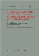 Hannsjörg F. Buck, Hannsjör F Buck, Hannsjörg F Buck, Gunter Holzweißig, Eberhard Kuhrt - Opposition in der DDR von den 70er Jahren bis zum Zusammenbruch der SED-Herrschaft