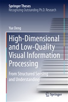Yue Deng - High-Dimensional and Low-Quality Visual Information Processing