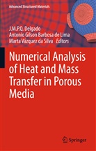 Antonio Gilson Barbosa de Lima, Marta Vázquez Da Silva, ANTONIO GILSON de BARBOSA DE LIMA, J. M. P. Q. Delgado, J.M.P.Q. Delgado, João M. P. Q. Delgado... - Numerical Analysis of Heat and Mass Transfer in Porous Media