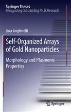 Luca Anghinolfi - Self-Organized Arrays of Gold Nanoparticles