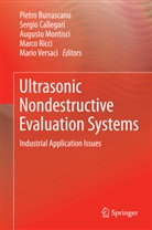Giuseppe Acciani, Pietro Burrascano, Sergi Callegari, Sergio Callegari, Augusto Montisci, Augusto Montisci et al... - Ultrasonic Nondestructive Evaluation Systems