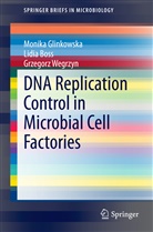 Lidi Boss, Lidia Boss, Monik Glinkowska, Monika Glinkowska, Grzegorz Wegrzyn - DNA Replication Control in Microbial Cell Factories