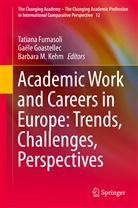 Tatiana Fumasoli, Gaël Goastellec, Gaële Goastellec, Barbara M. Kehm, Barbara M Kehm - Academic Work and Careers in Europe: Trends, Challenges, Perspectives