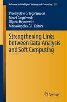 Mare Gagolewski, Marek Gagolewski, Maria Angeles Gil, María Ángeles Gil, Przemyslaw Grzegorzewski, Olgierd Hryniewicz... - Strengthening Links Between Data Analysis and Soft Computing