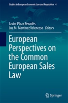 M Martínez Velencoso, M Martínez Velencoso, Luz M. Martínez Velencoso, Javie Plaza Penadés, Javier Plaza Penadés - European Perspectives on the Common European Sales Law