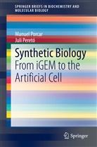 Juli Peretó, Manue Porcar, Manuel Porcar - Synthetic Biology