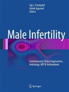 Agarwal, Ashok Agarwal, Sij J Parekattil, Sijo J. Parekattil - Male Infertility