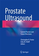 M Wolff, M Wolff, Christopher R. Porter, Christophe R Porter, Christopher R Porter, Erika Wolff... - Prostate Ultrasound