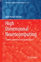 Bipin Kumar Tripathi - High Dimensional Neurocomputing
