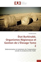 Yacouba Sanon, Sanon-y - Etat burkinabe, organismes